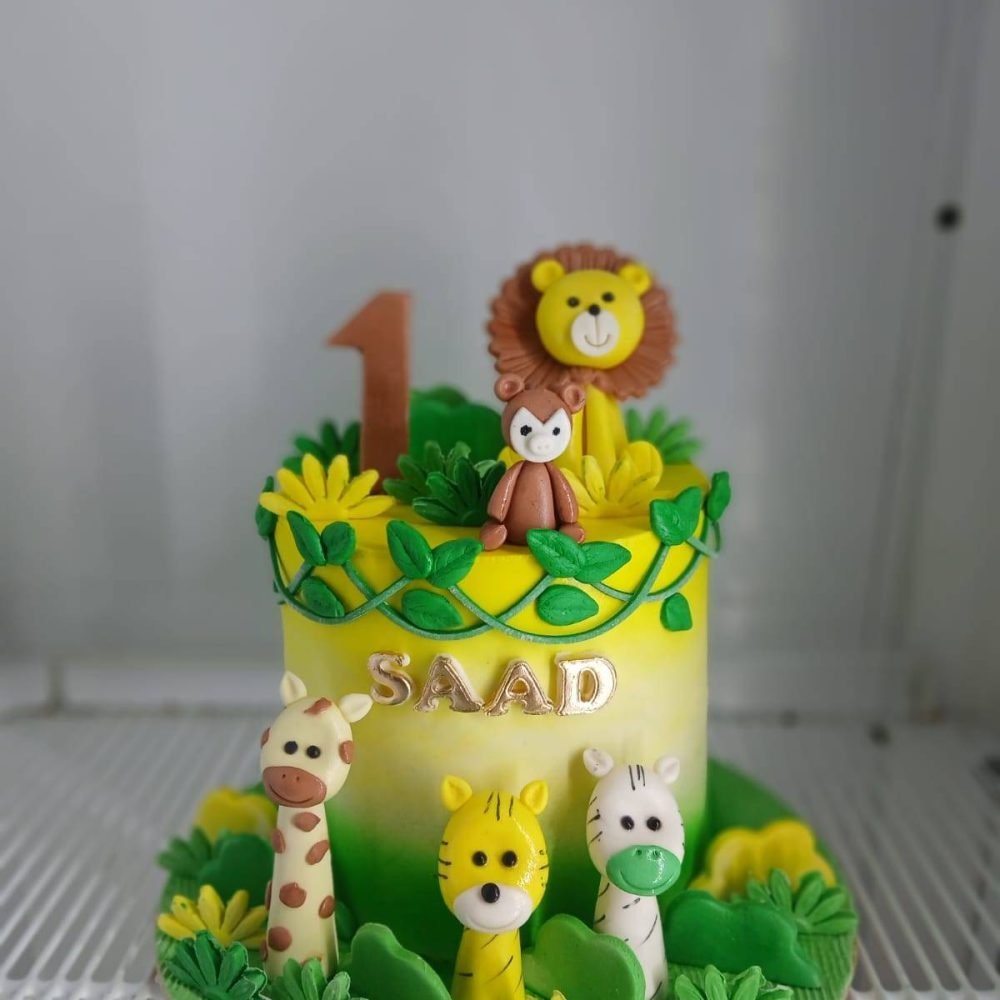Lumii_20250209_135642111